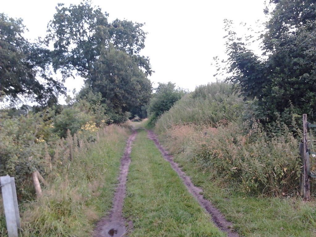 B&B In De Backerije Zuidwolde  Стая снимка