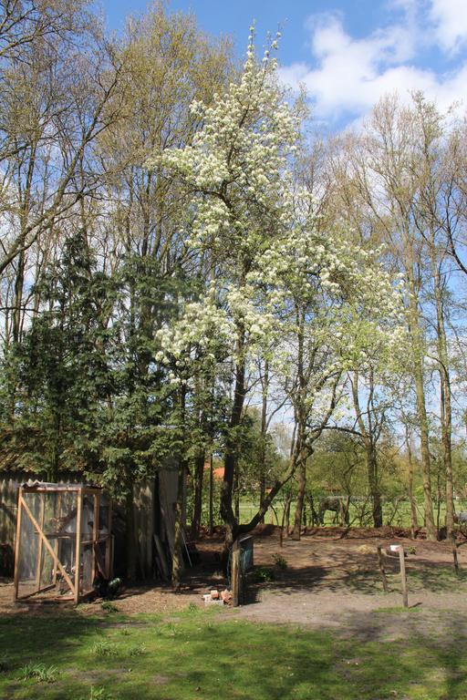 B&B In De Backerije Zuidwolde  Екстериор снимка
